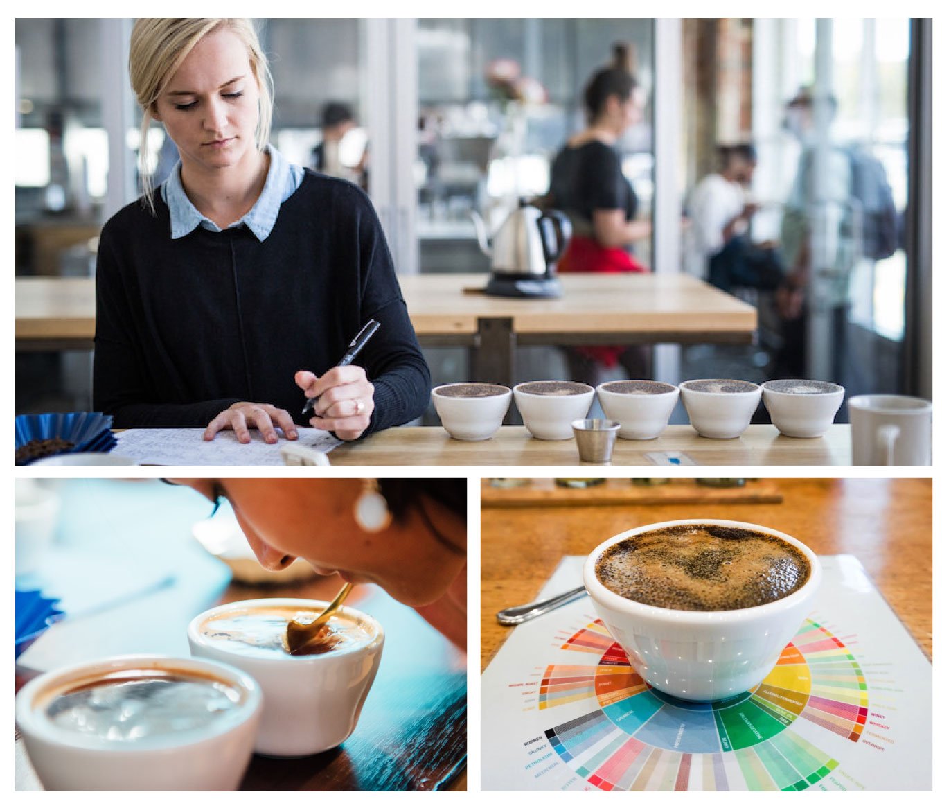 Cà phê đặc sản (Specialty Coffee) là gì?