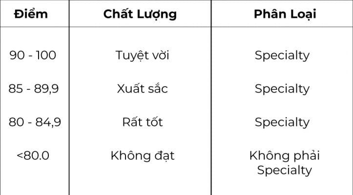 (Tiêu chí điểm số phân loại cà phê Specialty của SCA)
